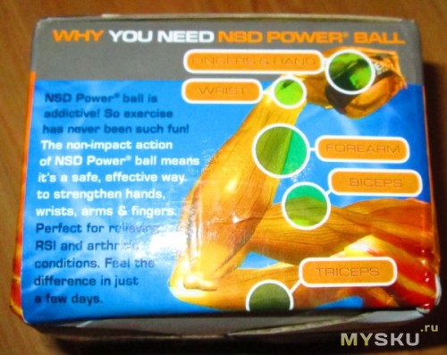 Powerball 250Hz - упаковка - мышцы тренируемые с помощью Powerball