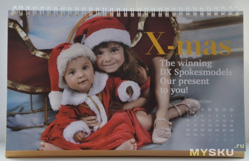 DX 2014 Desk Calendar with 12 Months&#39; Coupon Codes